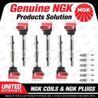 NGK 6 Spark Plugs + 6 Igniton Coils for Audi A4 8K A5 8T A6 4F Q5 8R V6