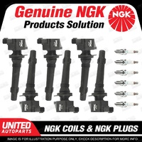 NGK 6 Spark Plugs + 6 Igniton Coils for Ford Falcon G6 G6E FG 4.0L 6Cyl