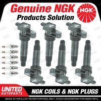 NGK 6 Spark Plugs + 6 Igniton Coils for Kia Grand Carnival VQ G6DC 3.5L V6 202Kw