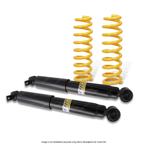 Rear Shock Absorbers Raised King Springs for GWM Great Wall Tank 300 2.0 Petrol